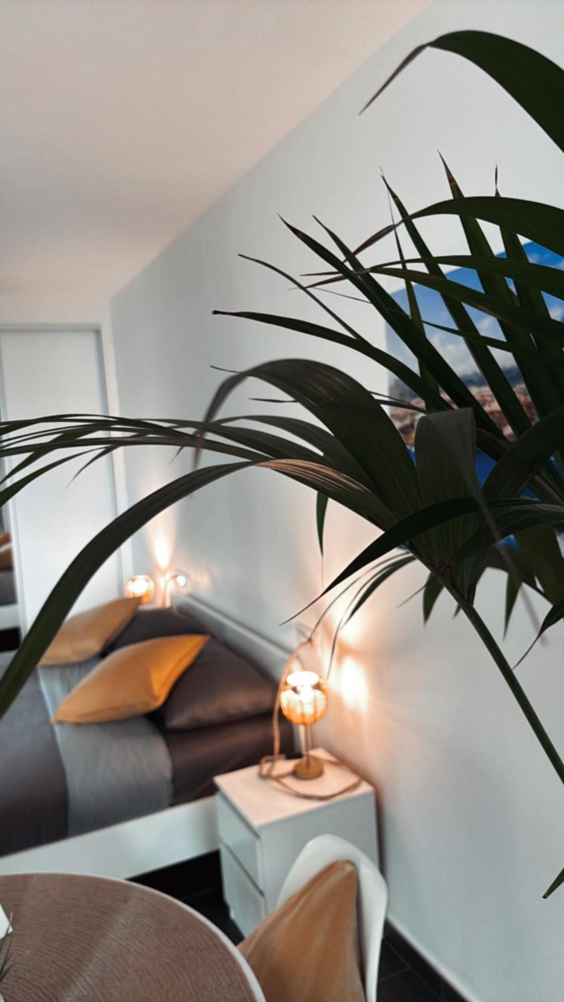 Marina Suites Tenerife Пуерто-де-ла-Крус Екстер'єр фото